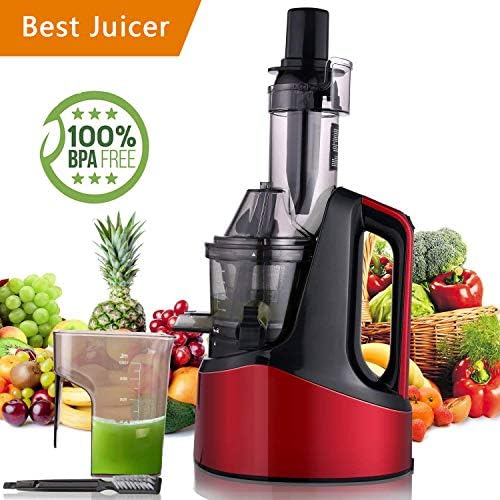 Rendio Slow Masticating Juicer, Juicer Extractor, Wide Chute Anti-Oxidation, Reverse Function with Juice Jug and Brush, High Nutrient Cold Press Juicer, Easy to Extract Fruit and Vegetable Juice