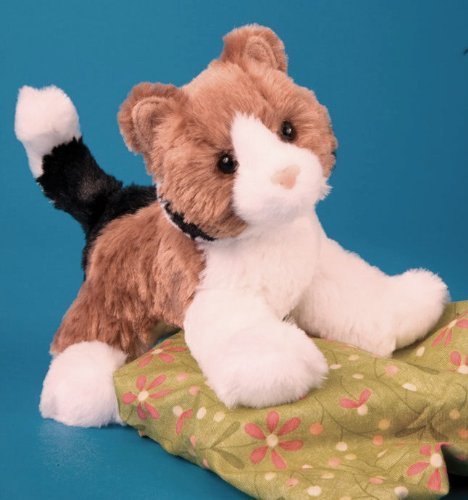 Douglas Maps Calico Cat