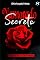 Livro Namorado Secreto: Especial dia dos Namorados