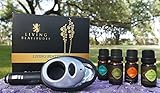 Essential Oils Aromatherapy Gift Set with Aroma Car Diffuser by Living Beatitudes ● 100% Pure Therapeutic Grade 4x10ml (Eucalyptus, Lemongrass, Orange, Pine)