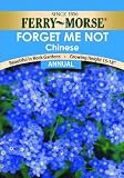 Ferry Morse Forget-Me-Not  Seeds (Annual)