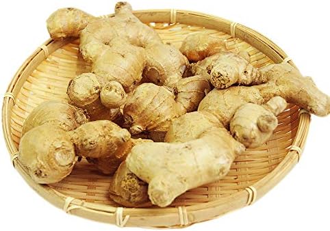 長崎県産 安い 激安 プチプラ 高品質 無農薬栽培 生姜 1kg しょうが