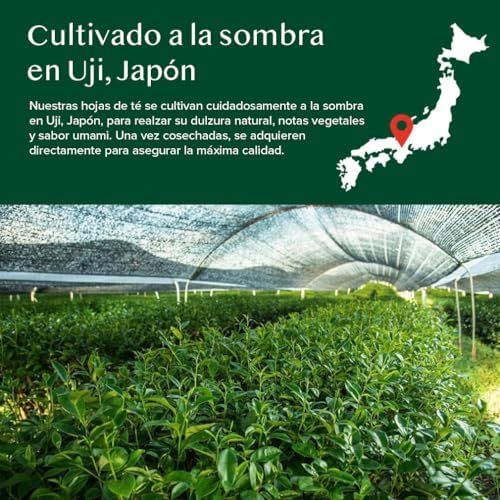 Polvo de Matcha Vainilla 100g-50 Tazas | Matcha Uji & Vainilla de Madagascar | 100% Natural | Té Verde Japonés Premium | Para Latte & Té