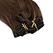 Full Shine 20 Inch Remy Hair Extensions Clip in Human Hair Ombre Clip in Hair Extensions for Thin Hair 120 Gram 10 Pcs Color 4 Brown and 18 Ash Blonde Double Weft