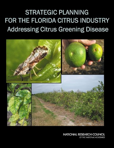 Download Strategic Planning for the Florida Citrus Industry: Addressing Citrus Greening (English Edition) PDF