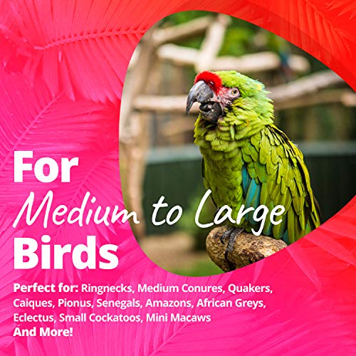 2 Super+Bird+Creations+4+Inch+Olympic