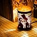 Himalayan Salt Lamps, OxyLED Natural Pink Salt Night Lights with Two Bulbs, Crystal Rock Salt Light in Metal Basket Lampshade with Dimmer Switch, Father's Day Gift (3.15 x 4.33