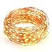Kohree String Lights Decorative Rope Fairy Strarry Lights for Bedroom Patio Garden Party Wedding Commercial Lighting, USB Plug in 33ft 100 LEDs,Warm White