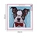 VVEEWUU DIY 5D Diamond Painting Kits for Kids Full Drill Diamond Embroidery Painting by Number Kits for Children Gifts (Dog7)
