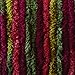 Bernat Blanket Yarn, Harvest