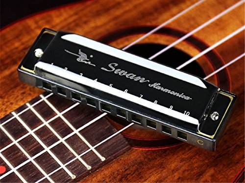 WANDIC Diatonic Harmonica Standard 10 Hole Harmonica with Case Key of C for Beginner Students Kids Gift Black