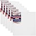 U.S. Art Supply 12 x 12 inch Stretched Canvas 12-Ounce Primed 6-Pack - Professional White Blank 3/4