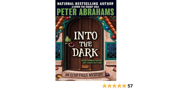 Into The Dark Echo Falls Mystery Book 3 Kindle Edition By Abrahams Peter Children Kindle Ebooks Amazon Com