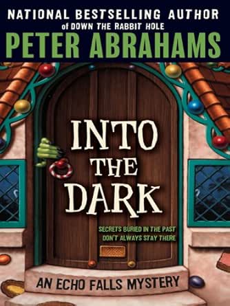 Into The Dark Echo Falls Mystery Book 3 Kindle Edition By