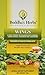 Wings Tea with Ginger (Pack of 2, 40 Tea Bags) - Healthy Tea for Immune & Digestive Health - Organic Herbal Tea Bags w/Natural Ingredients - Ideal Tea Gifts for Tea Lovers