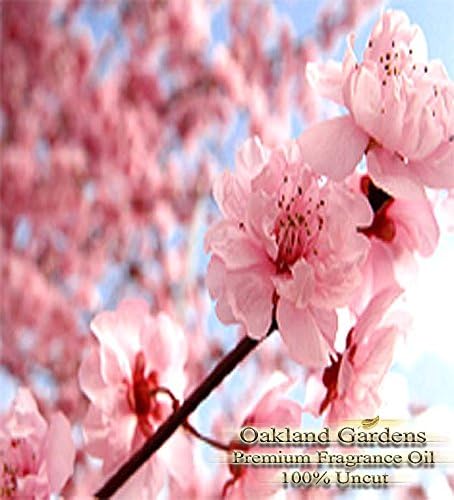 JAPANESE CHERRY BLOSSOM Fragrance Oil - 100% Pure Premium Grade Oil - Tender cherry blossom, sensual white lily and blushing violet petals blended with a hint of warm vanilla - BULK Frangrance Oil By Oakland Gardens (120 mL - 4.0 fl oz Bottle)