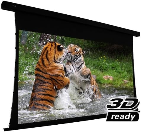 EluneVision Reference Studio 4K Tab-Tensioned Motorized Screen - 135" (118" x 66") Viewable - 16:9