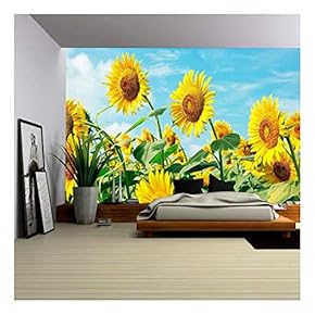 BRAND_NAMESunflower Field Premium