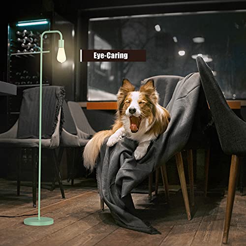 PAZZO Floor Lamp, Industrial Floor Lamp, Led Light Bulb Included, in ...