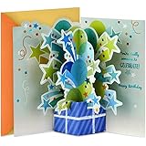 Hallmark Paper Wonder Pop Up Birthday Card (Someone to Celebrate)