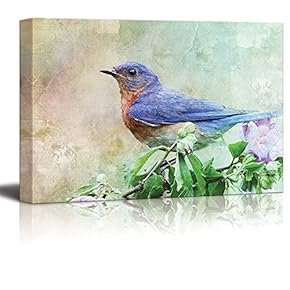 Blue and Orange Bird Resting on a Branch