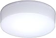 アイリスオーヤマ LED シーリングライト 小型 100W相当 昼白色 750lm SCL7N-E