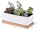 StarPack Premium Small White Ceramic Succulent Planter Pot with Bamboo Base