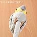 Cockatiel Bird Plush Ballpoint Pen (Gray)