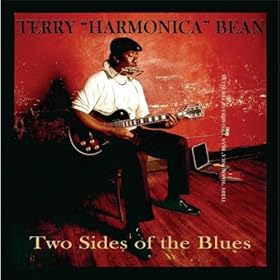 Image result for terry harmonica bean albums