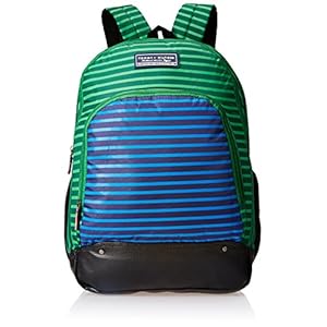 Tommy Hilfiger Olympus’17 50 cms Green Casual Backpack (TH/BTS06OLY,17)