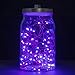 String Lights,Oak Leaf 2 Set of Purple Micro 30 Leds Romantic Rope Lights Battery Operated on 9.8 Ft Long Ultra Thin String Copper with CR2032 Battery For Home Bedroom Party