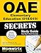 OAE Elementary Education (018/019) Secrets Study Guide: OAE Test Review for the Ohio Assessments for Educators
