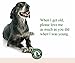 Veterinary Naturals Dog Hip and Joint Supplements - Soft Chews with Glucosamine, Chondroitin for Dogs – Dog Joint Pain Relief - Anti-Inflammatory Dog Arthritis Supplement, 60 Chews, Liver Flavor