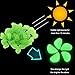 JUSLIN 300pcs Glow in the Dark Garden Pebbles, Green Blue White, with Gardening Glove and Shovel for Gardening Decorations