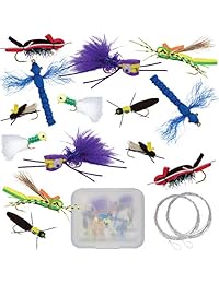 Thor   Kit de pesca de mosca para pesca al aire libre para bajo y panfish (14 piezas, incluye gancho de plomo cónico, tamaño: de 8 a 10 pulgadas), pompones de espuma, corchetes, moscas secas, arañas, hormigas, atractores
