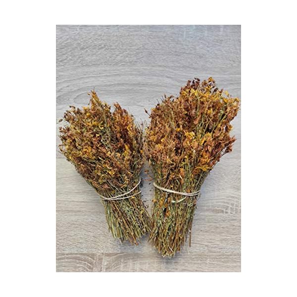 Wilder Johanniskraut-Kräutertee Ganze Bündel 220g - 1.95Kg Ernte Mai 2022 (1950 gramm)