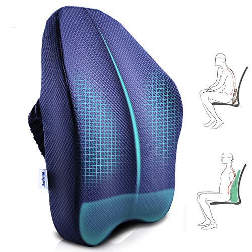 Winjoy Ergonomic Lumbar Support Pillow, 100% Pure Memory Foam Back Cushion with Breathable 3D Back Pillow Design for Lower Back Pain Relief,Durable Adjustable Straps for Chair/Recliner/Car Seat