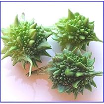 Amazon.com : Indian Baby Melon SEEDS- Bitter Melon-bitter Gourd ...