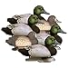 Higdon Outdoors Standard Bluebill Floater Duck Decoys | Ultra Realistic Drake & Hen Decoys for Waterfowl Hunting | 4 Upright Drakes & 2 Resting Hens | Foam-Filled | 6pk