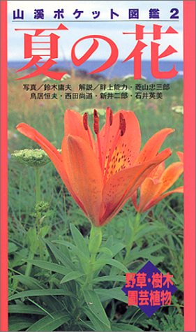 夏の花 野草 樹木 園芸植物 山渓ポケット図鑑 Amazon Com Books