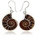 Natural Ammonite Fossil with S925 Sterling Silver Hook Charm Earrings