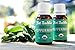 Organic Peppermint Essential Oil from Fat Buddha, USDA Certified, 100% Pure Therapeutic Grade, Improve Alertness, Relieve Muscle Aches, Aid Digestion, Sustainably Sourced, Small Batch Produced - 15ml