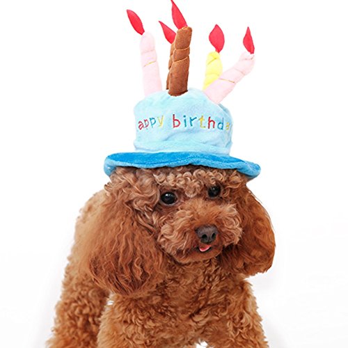 Happy Birthday Dog Hat Costume Small Dog Halloween Party Hat