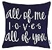 ADecor All of Me Loves All of You Cotton Embroidered Decorative Square Accent Throw Pillowcase - Couple Gift, Love Sentiment Decor - 18x18 Inches, Navy Blue
