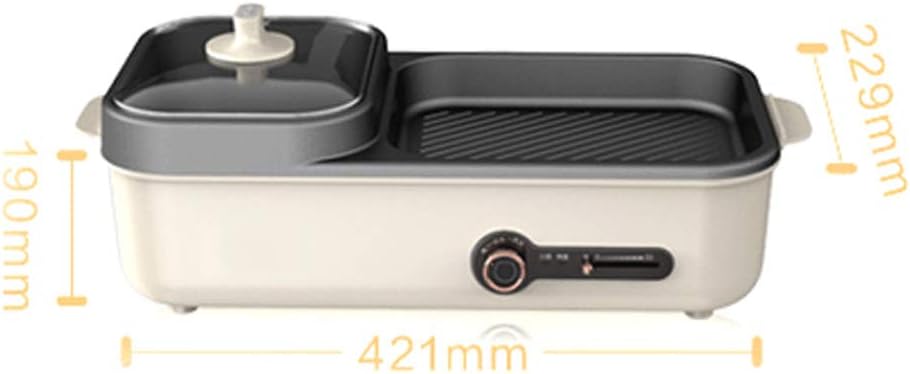 review zaizai Smokeless Electric Grill,Knob + Lever Temperature Control,Independent Control of Double Plate Temperature,1400W,Double Baking Plate Design Grilling BBQ - Indoor Barbecue Grill