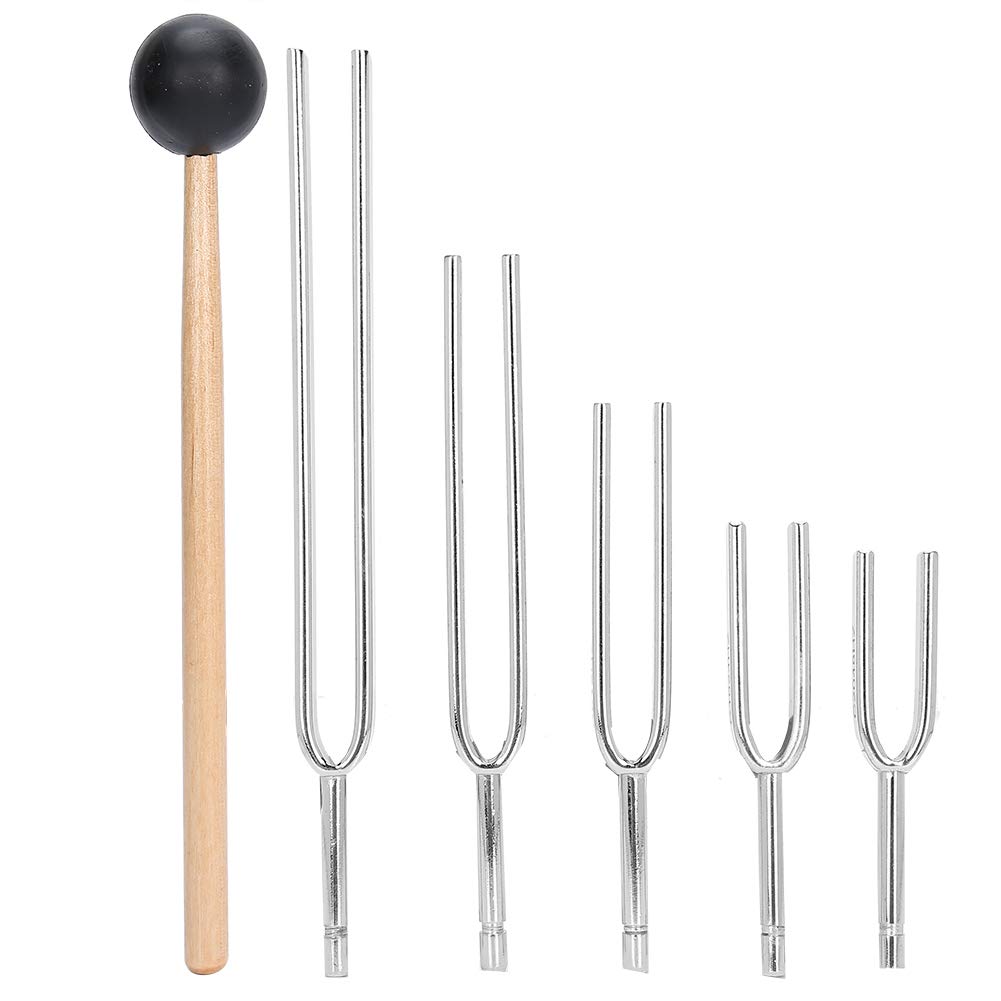 5pcs Tuning Fork Kit, 128hz 256hz 512hz 1024hz 2048hz Tuning Forks Set with Storage Bag and Hammer, for Musicians Teachers Science Enthusiasts