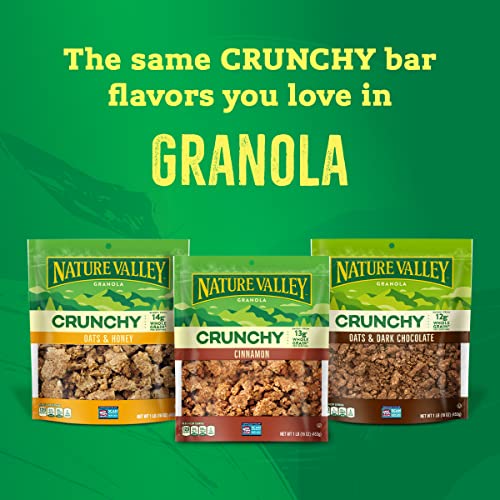 Nature Valley Granola, Protein Oats and Dark Chocolate, 16 oz (Pack of