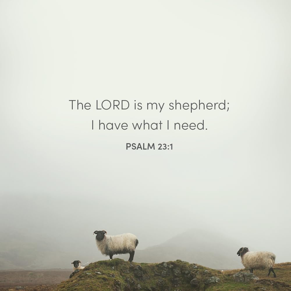 Psalm 23 - Bible Study for Women with Video Access: The Shepherd With Me