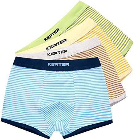 Junliyuan 4 pack Boy's 100% Cotton Striped Boxer Underwear Breifs for 4T-8T (4T)
