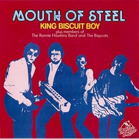 Image result for king biscuit boy  albums